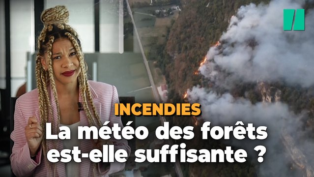 Le message caché de la météo des forêts