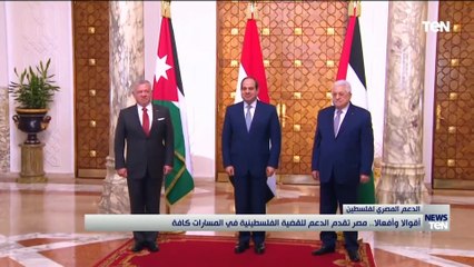 أقوالا وافعالا.. مصر تقد الدعم للقضية الفلسطينية في المسارات كافة