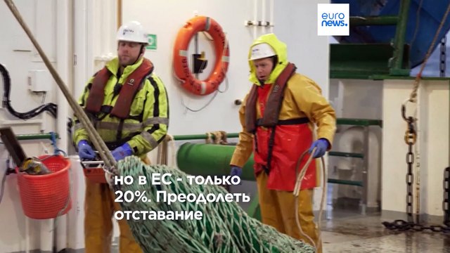 Евросоюз намерен увеличить производство белка из водорослей