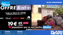 Canal , Disney , Netflix, OCS : l’offre RAT  fait son grand retour, profitez-en !