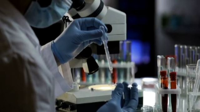 Salute, Msd: 200 milioni investiti nella ricerca oncologica