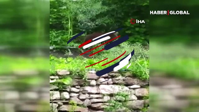 Bahçesine giren ayıya isim taktı, dakikalarca sohbet etti! Gülümseten anlar kamerada...
