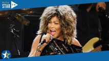 Tina Turner : Son immense maison en Suisse dédiée à ses fans ? Le projet un peu fou de son mari dévo