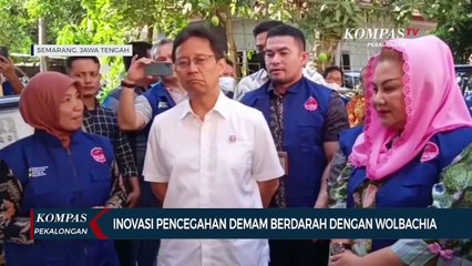 Inovasi Baru Pencegahan Dengue dengan Wolbachia: Semarang Jadi Percontohan