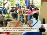 Barinas | Productores de lácteos fortalecen y contribuyen con la economía del país