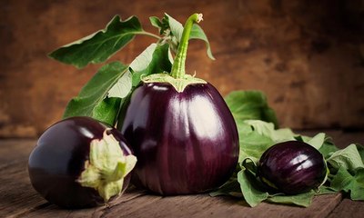 "قشر الباذنجان" يكافح الشيخوخة ويعزز الذاكرة