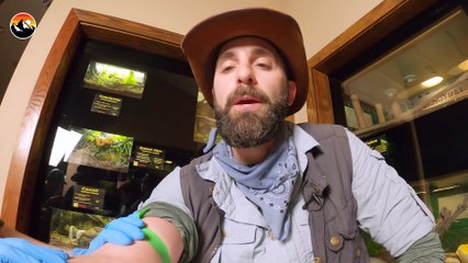 Human Blood vs. Snake Venom!