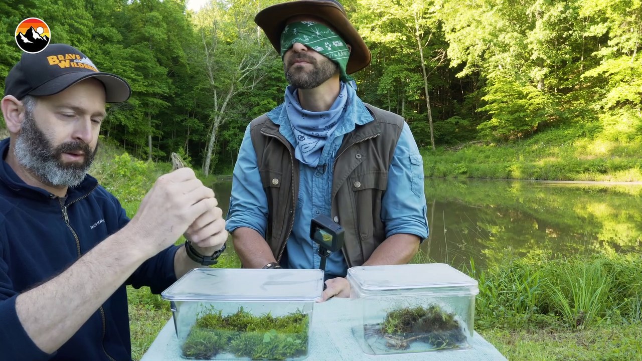 Poisonous Frog Taste Test!