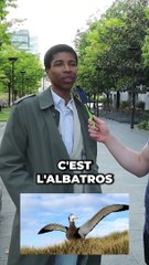 Est-ce que tu peux m'apprendre quelque chose ? (Épisode 2)