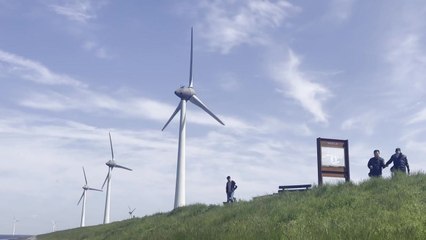 "불어라, 강풍아!"...탄소중립 첨병 '풍력발전' / YTN