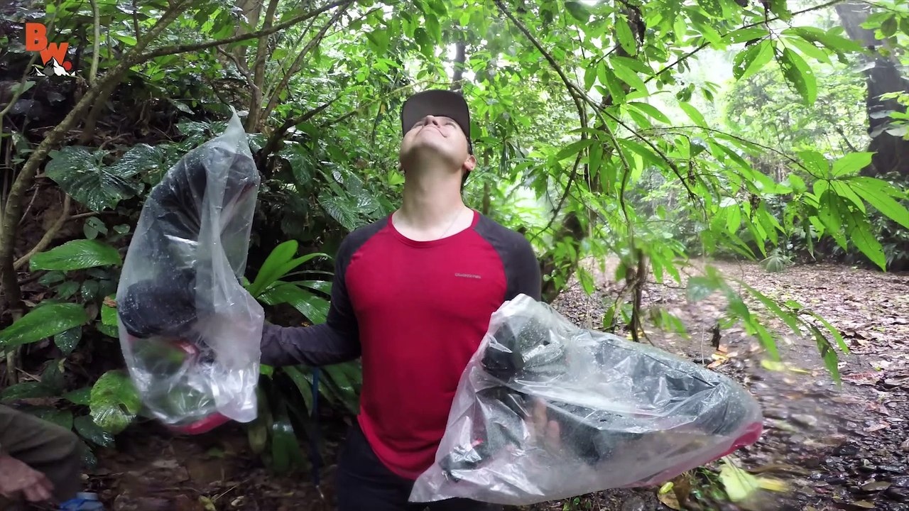 Catching a DEADLY Frog!