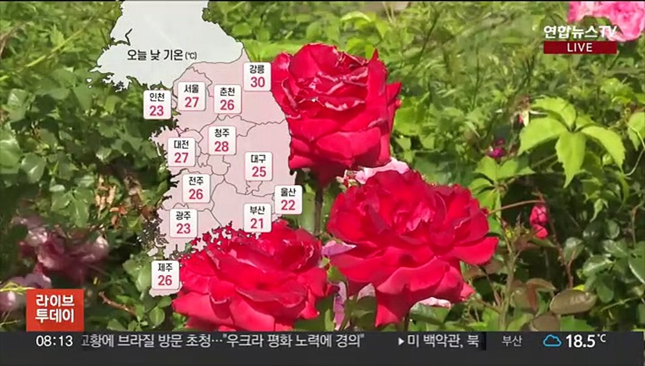 [날씨] 오늘 남부 비 오며 선선…중부 초여름 더위
