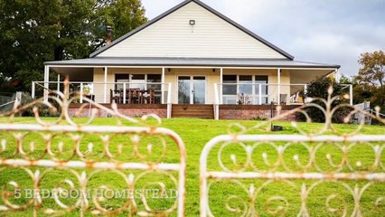 Wollun Station, Walcha, NSW | June 1, 2023 | Farmonline