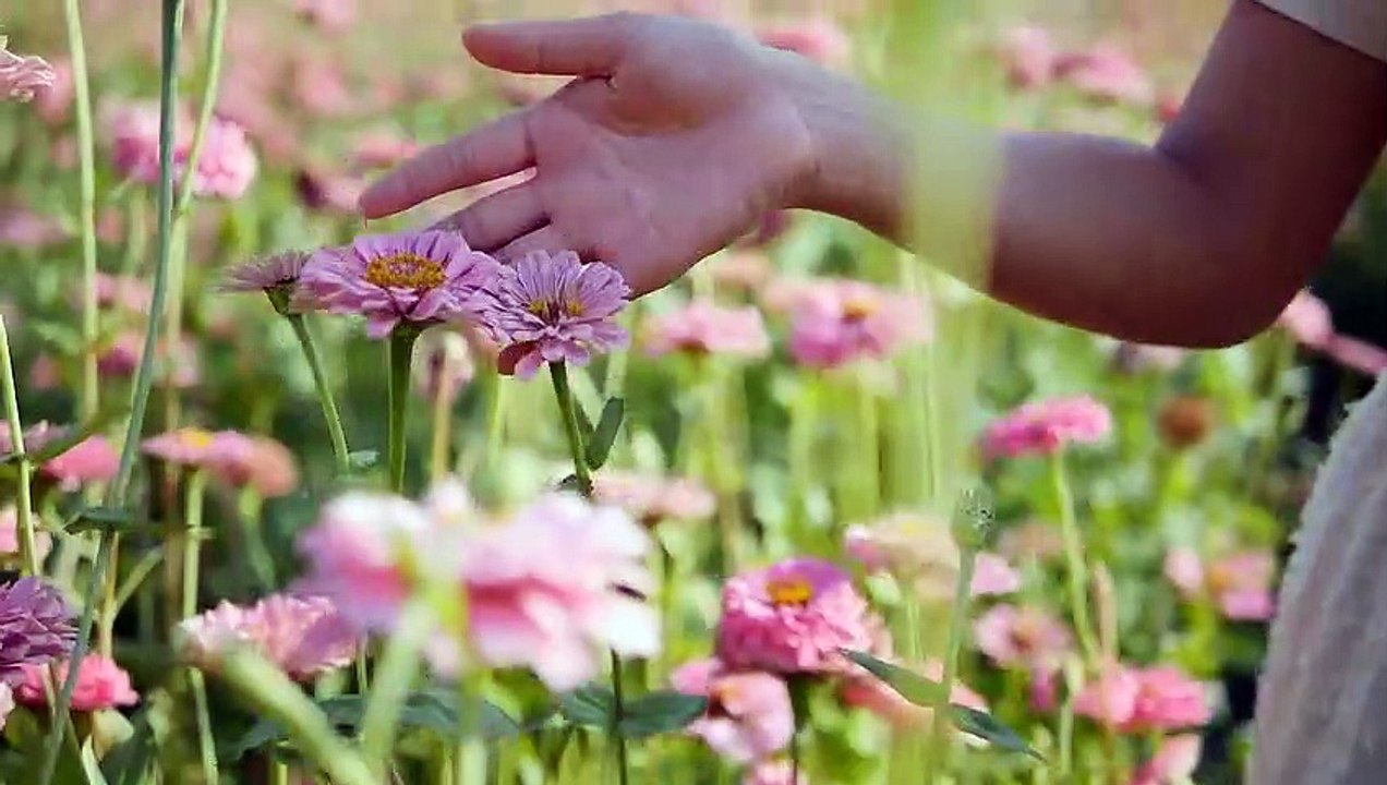 Woman in garden