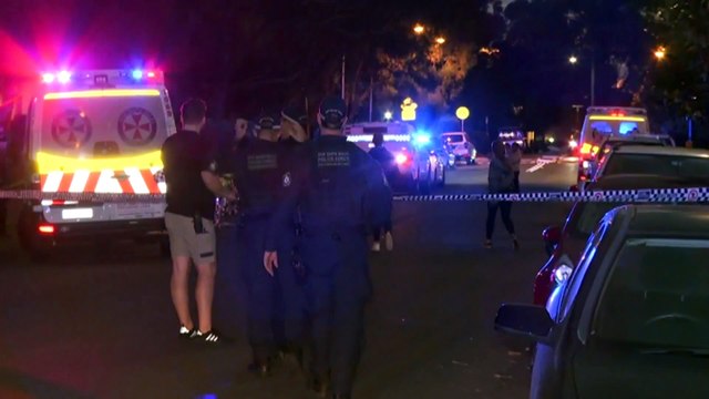 3-year-old boy fatally stabbed at a unit in Riverwood
