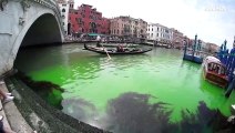 Chiazza verde fosforescente sul Canal Grande a Venezia