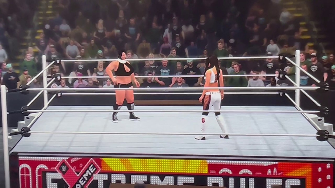 Breta vs Brie Bella Title Match