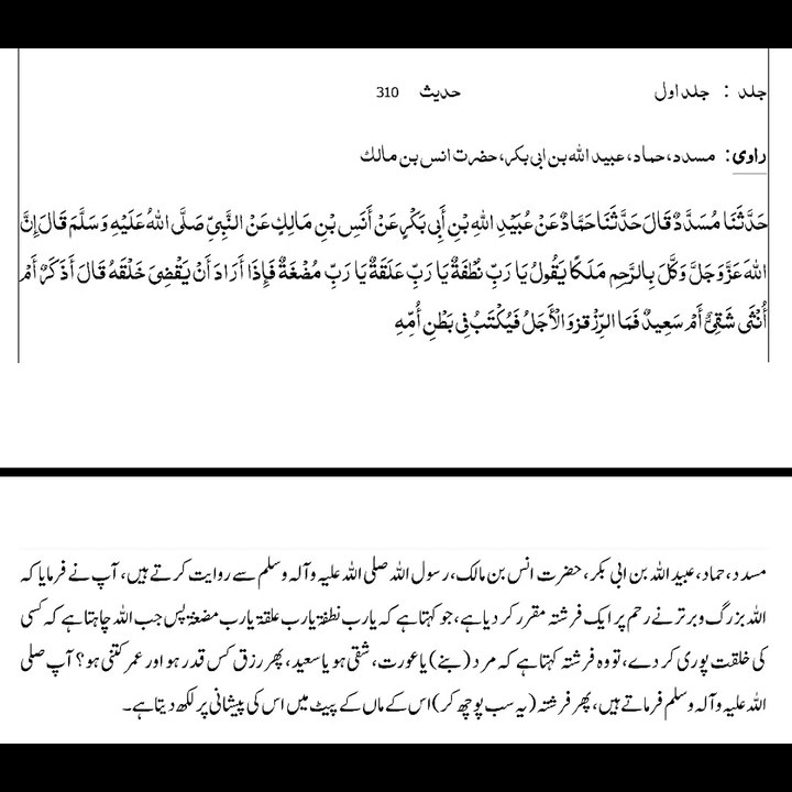 Sahih Bukhari Hadith 310