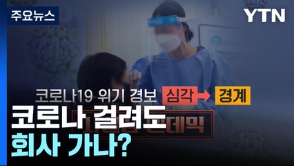 코로나 걸려도 회사 가나?...애들 학교는? [앵커리포트] / YTN