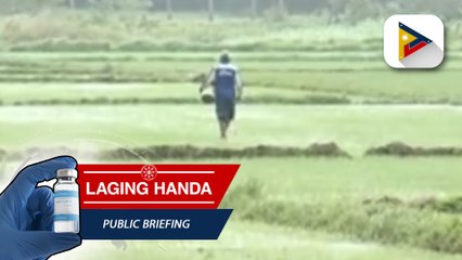 Descargar video: Bagyong #BettyPH, 'blessing in disguise' sa Cagayan dahil sa dala nitong ulan na magsisilbing solusyon sa problema sa tubig ng mga magsasaka