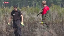 Incendie : pompiers, forestiers et gendarmes travaillent ensemble à un plan de lutte