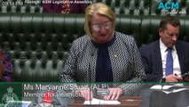 Heathcote MP Maryanne Stuart speaks in Parliament | June 1, 2023 | Illawarra mercury
