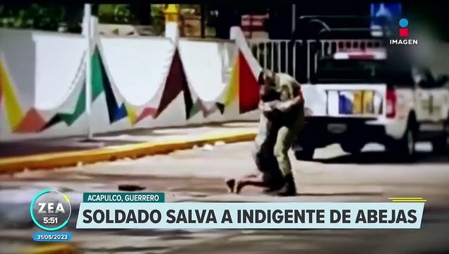 Soldado salva a indigente que fue atacado por un enjambre de abejas