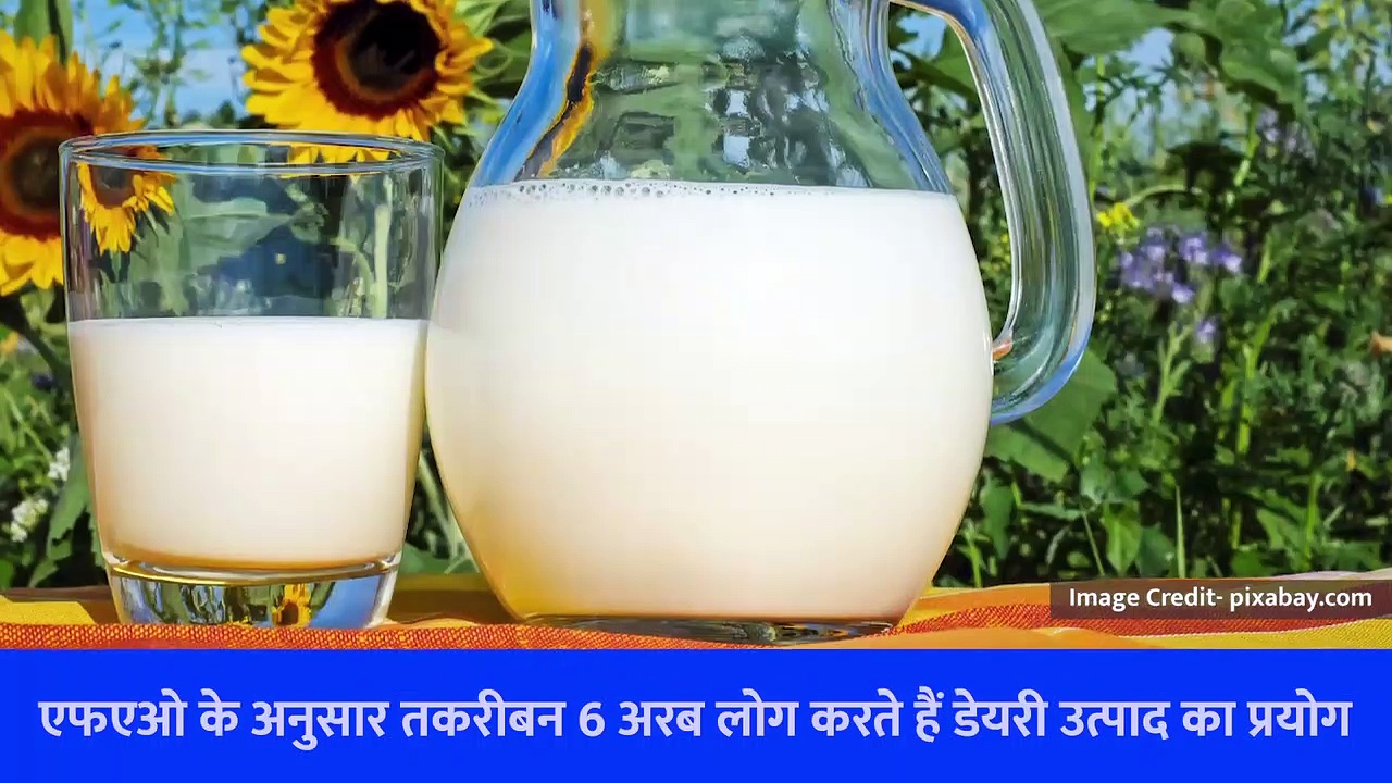 World Milk Day 2023: क्या है और क्यों मनाया जाता है वर्ल्ड मिल्क डे, जानिए सब कुछ इस वीडियो में