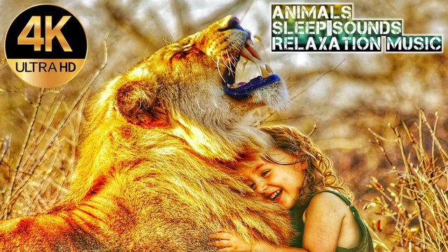 Animals Relaxing Project With Sleep Sounds, Meditation Music, (calming song) Mind relaxation Music, soothing sleep sounds,