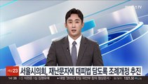 서울시의회, 재난문자에 대피방법 등 담도록 조례개정 추진