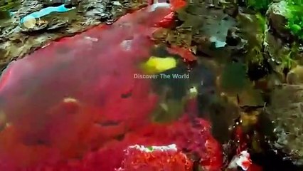 Phenomena That Science Still Can't Explain