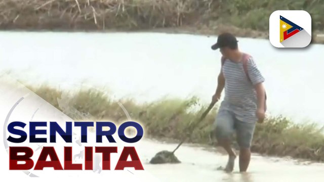 STS #BettyPH, nakatulong umano sa mga magsasaka sa Sta. Ana, Cagayan para matugunan ang problema sa kakulangan sa tubig ngayong cropping season