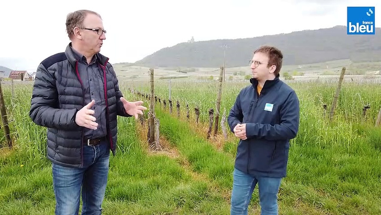 En vidéos - Le Slow Up Alsace 2023 avec Olivier Sohler 4/6