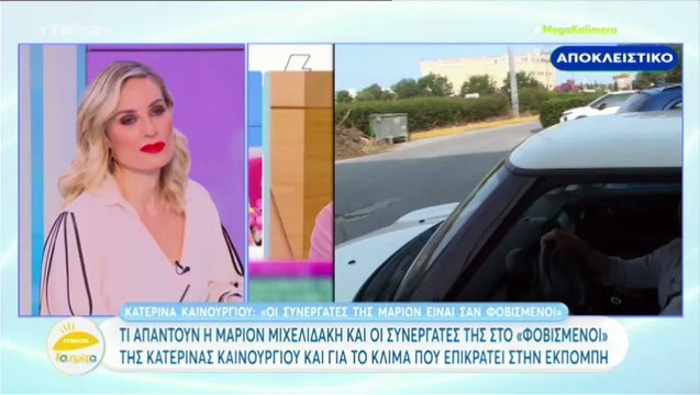 Μάριον Μιχελιδάκη_ Η αντίδραση μετά τα όσα είπε η Κατερίνα Καινούργιου για «φοβισμένους συνεργάτες»