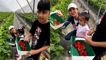 Shilpa Shetty Samisha Viaan London Vacation Full Masti Video Viral, Strawberry Pick करते...| Boldsky