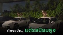 สาวหัวจะปวด เจอตัวตึงลานจอดยืนตระหง่าน เลือกถูกคันซะด้วย