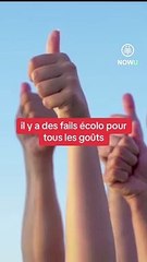 Tu connais ce gros fail écolo ?