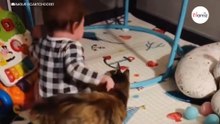 Baby stopt niet met huilen: de reactie van de kat laat je hart sneller kloppen (video)