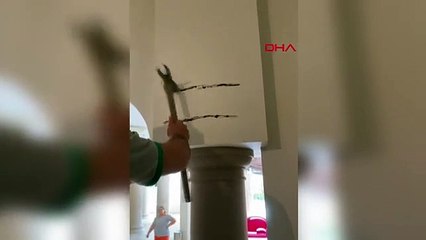 Büyükçekmece'de Duvar Delindi, Yavru Kedi Kurtarıldı