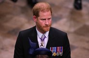 Prince Harry could face US visa court fight after admitting he used drugs in autobiography ‘Spare’