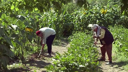 مسلسل حريم الشاويش ـ الحلقة (28) كاملة HD