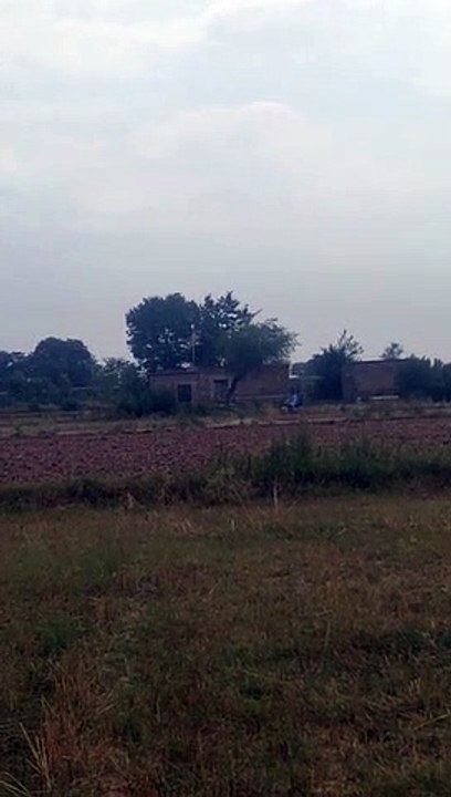VID-20230516-WA0008