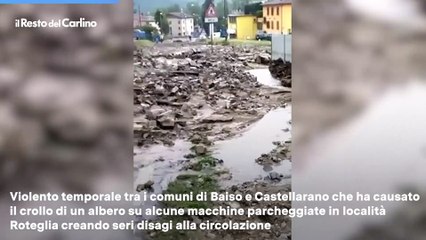 Video herunterladen: Maltempo a Reggio Emilia, frane e fiumi d'acqua a Baiso: il video