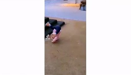 Funny videos of animal & Peoples Tik Tok 2023 new