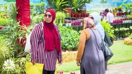 مصر.. معرض لزهور الربيع تحت شعار 100 مليون شجرة