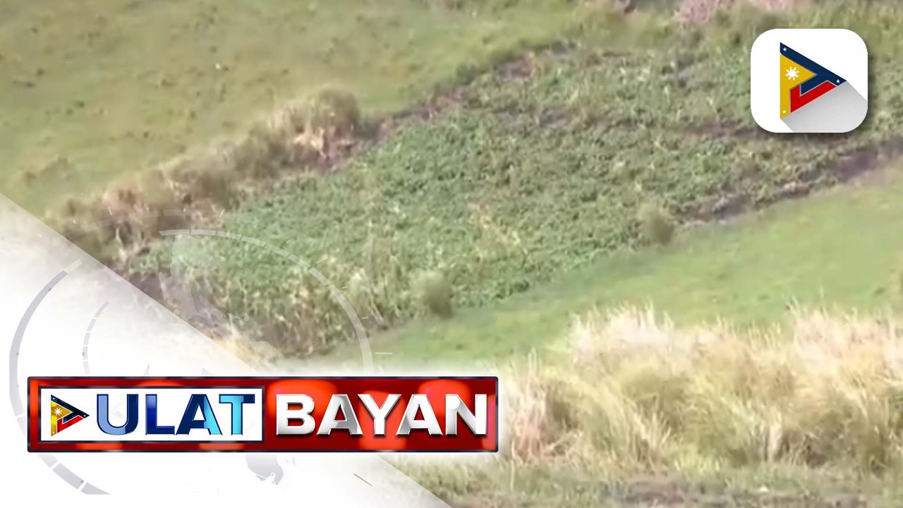 Pinsala ng severe tropical storm #BettyPH sa pananim, ramdam ng mga magsasaka sa Batanes