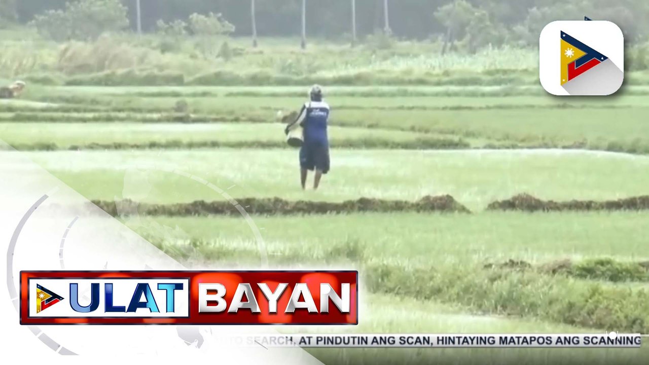Ulan na dala ng severe tropical storm #BettyPH, nakatulong sa mga magsasaka ng Sta. Ana, Cagayan