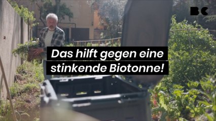 Effektive Hausmittel gegen unangenehme Gerüche in der Biotonne 🌿