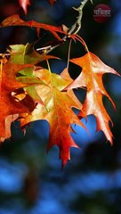 लंबी उम्र के लिए अपने बच्चों को दें ये यूनीक और खूबसूरत नाम