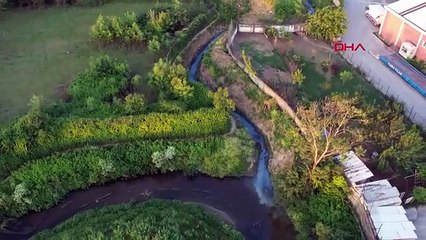 La couleur du ruisseau à Arnavutköy est devenue bleue, la réclamation est due aux eaux usées